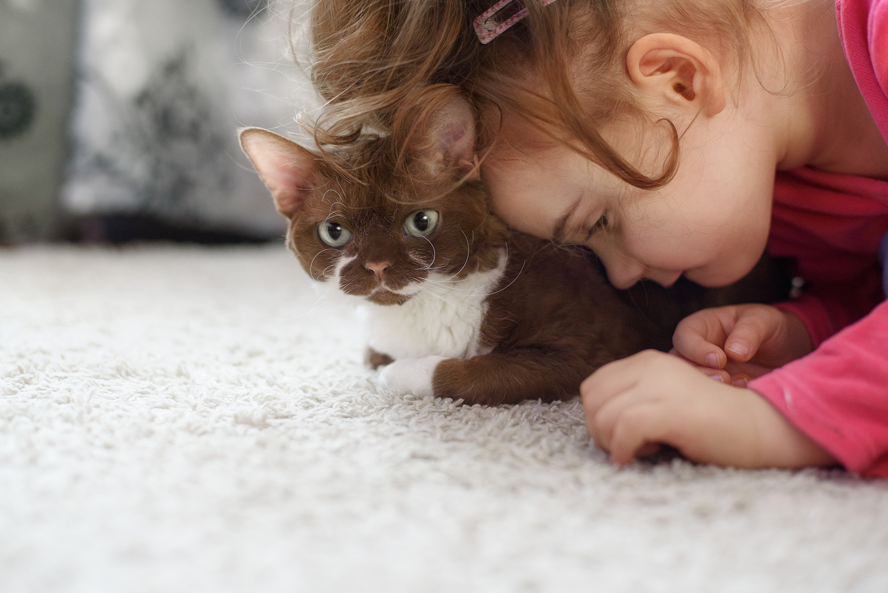 Little girl snuggling with her cat